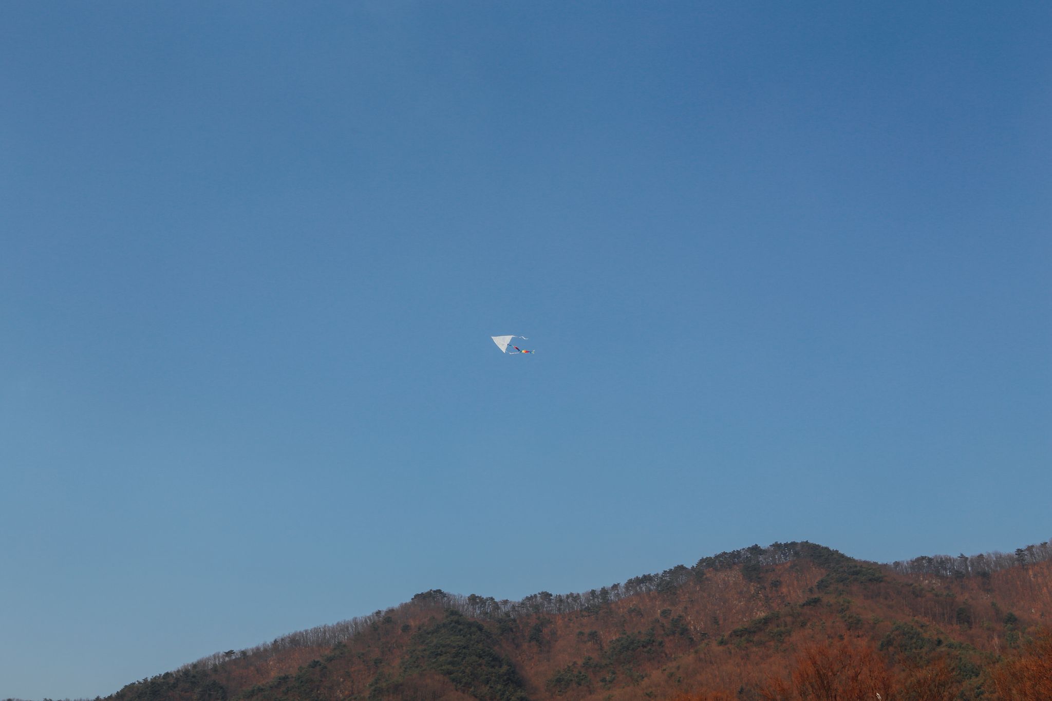 2021년1월16일 216