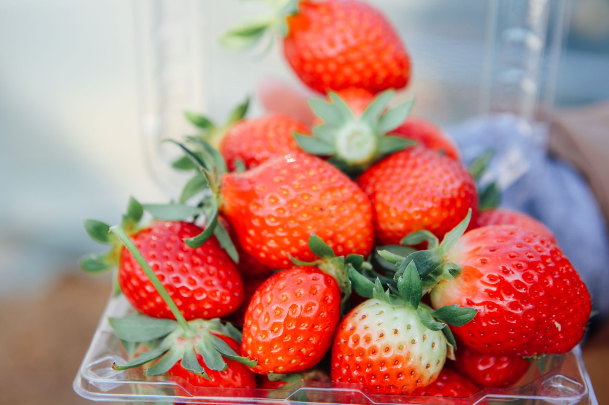 2021년1월16일 246