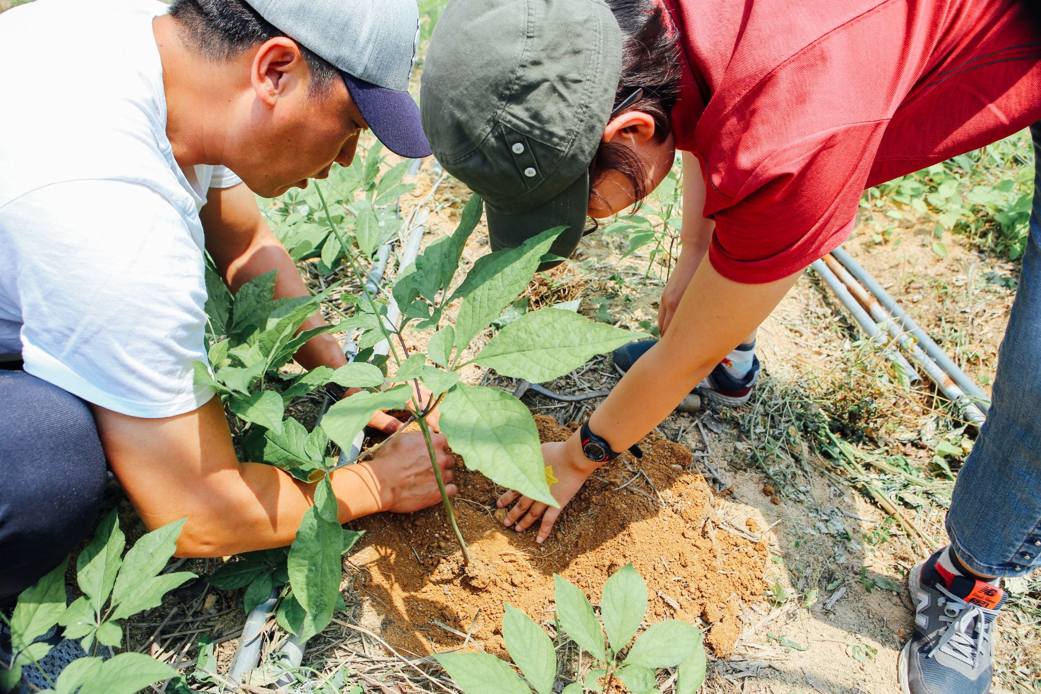 수박체험 07