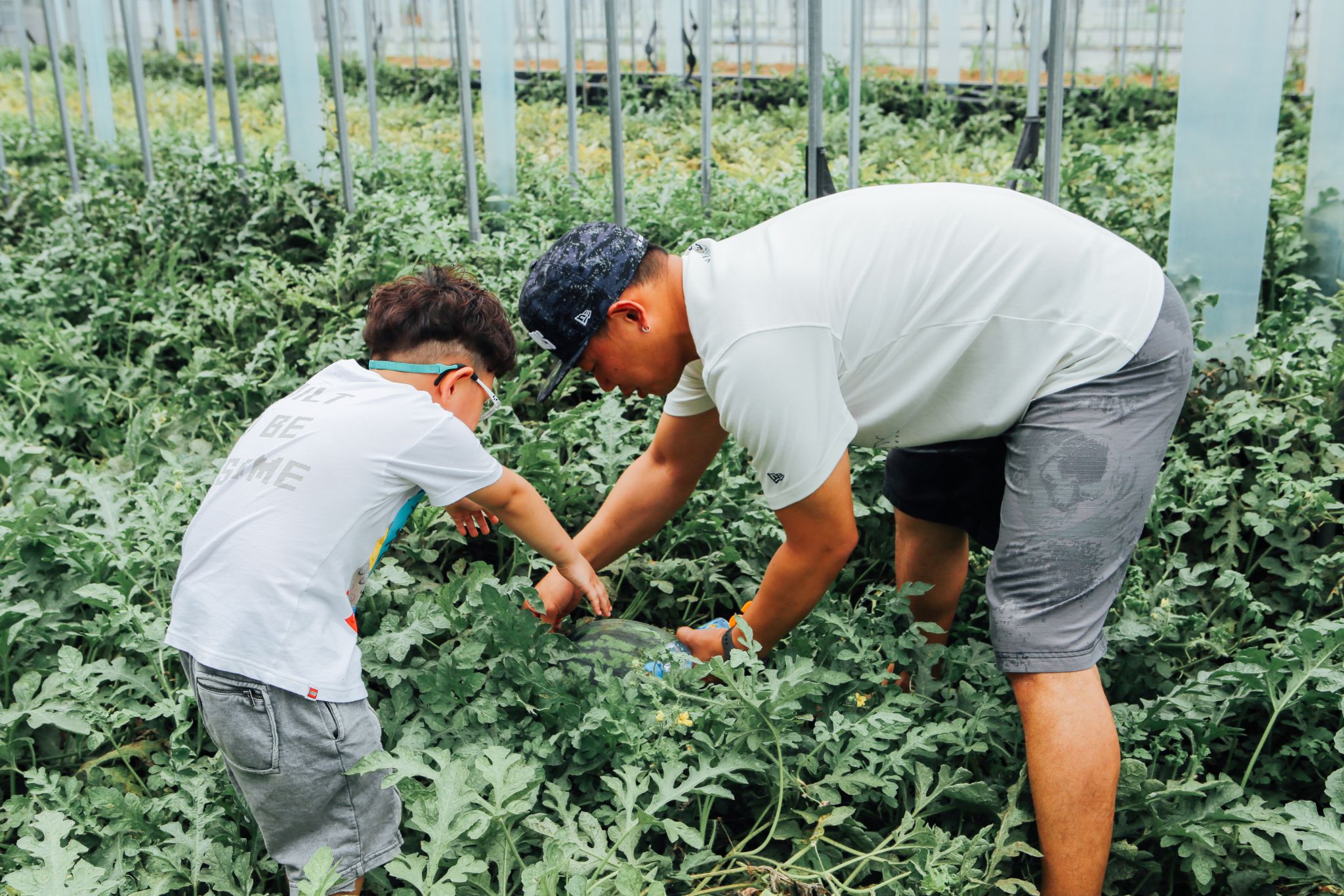 수박체험 53