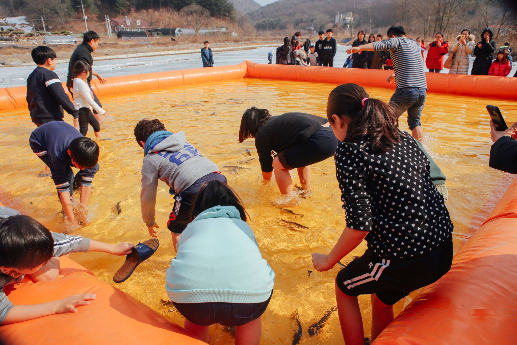 양평송어딸기축제 10