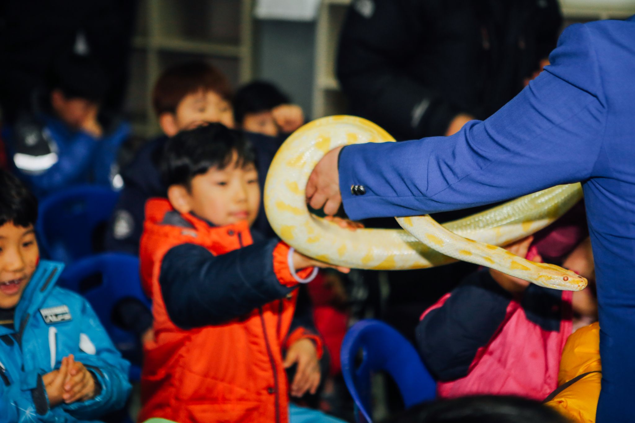 양평송어딸기축제 20