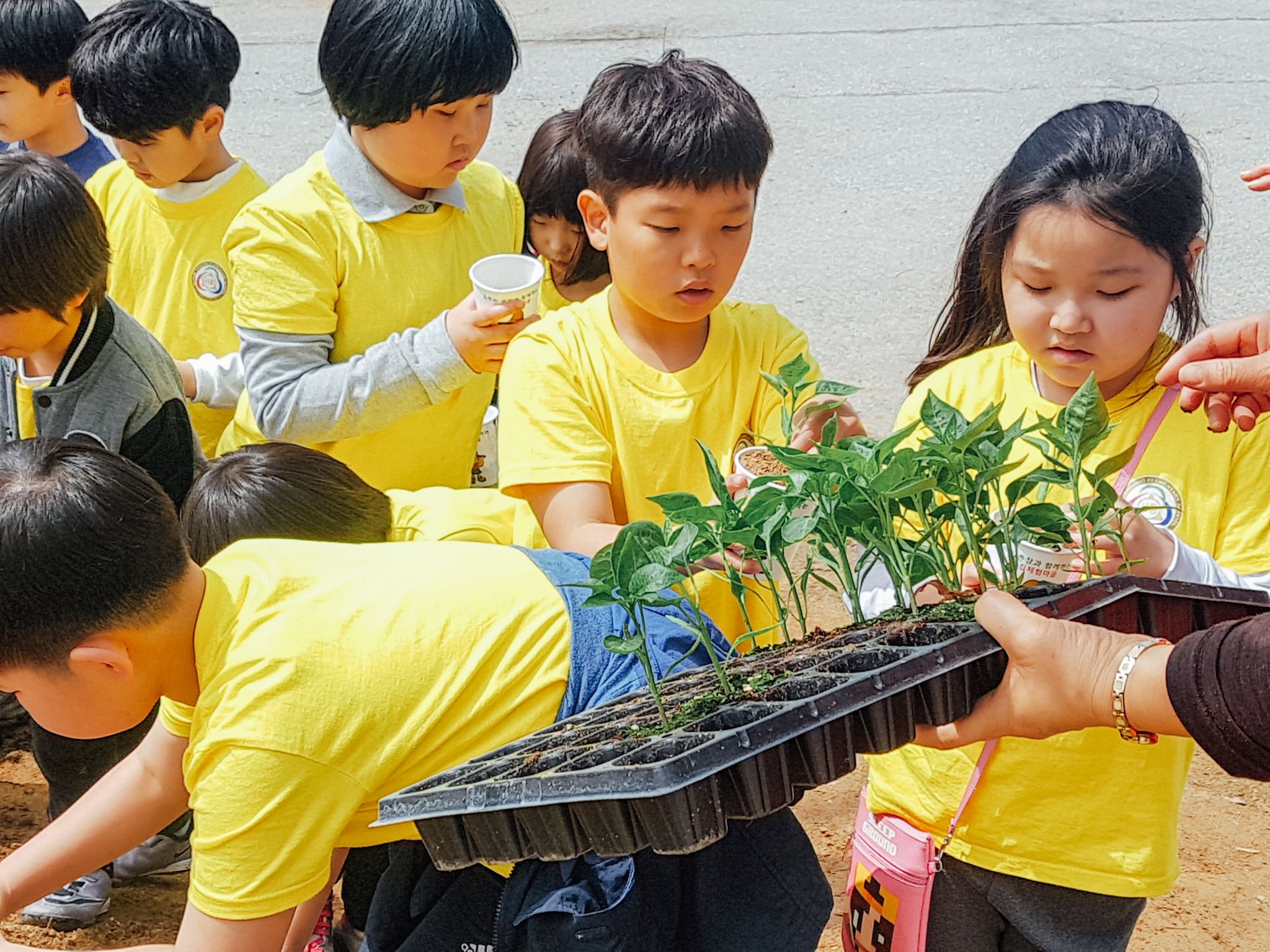 유기농화분 01