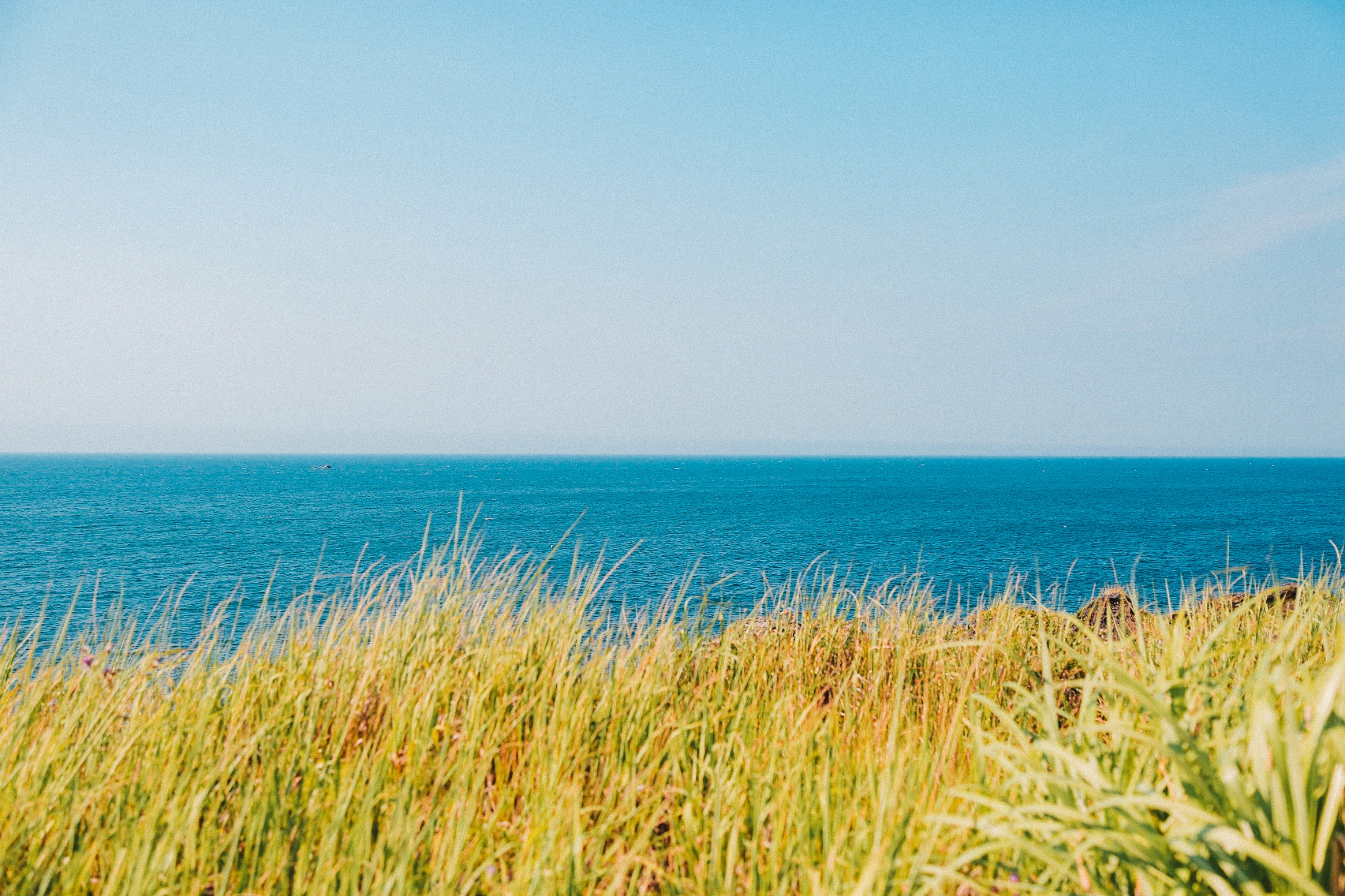 제주 서쪽 당일