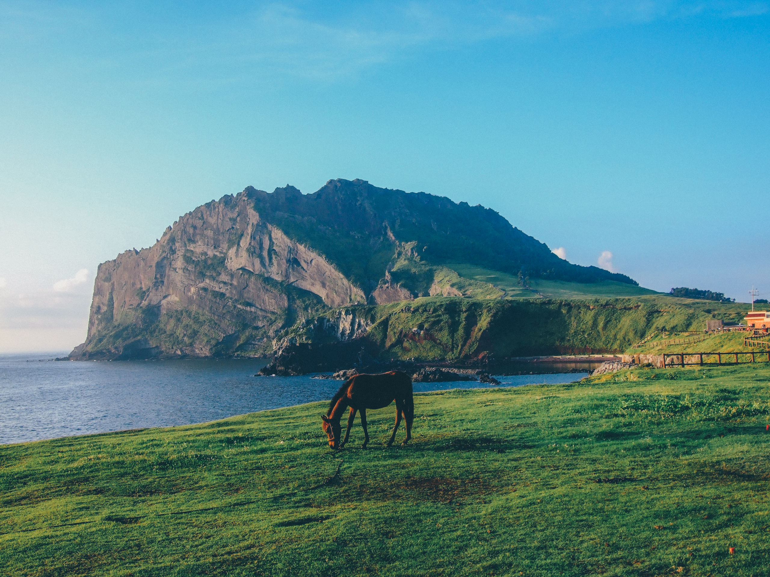제주 동쪽 당일